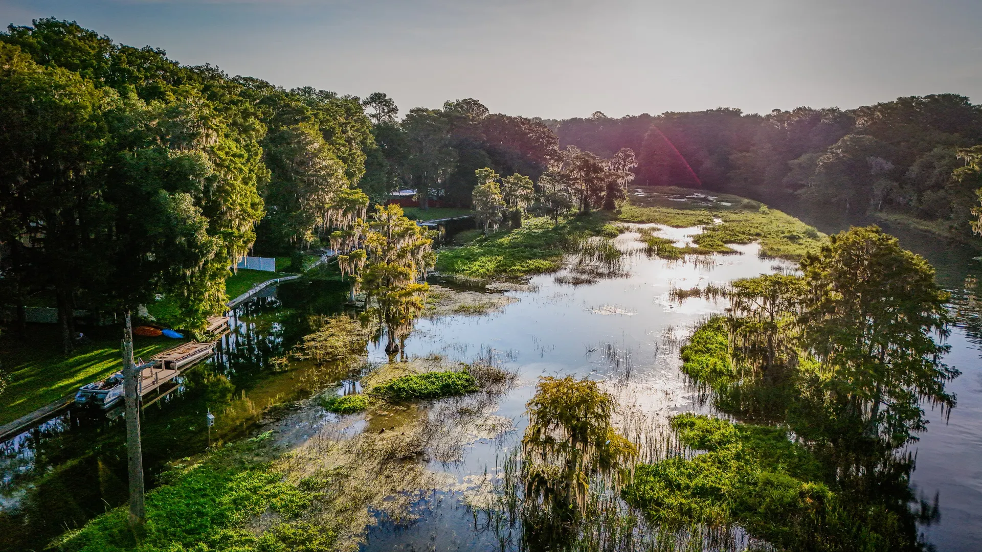 Cypress trees and glassy wetland water at sunrise, photographed from the air, with a wooden dock and moored pontoon boat along the shore